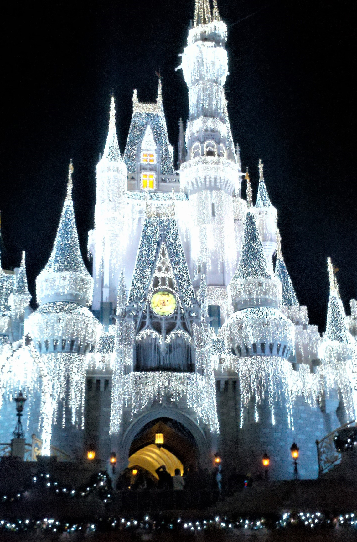 Teri Aitchison enjoying Cinderella's Castle dressed in Holiday finery.