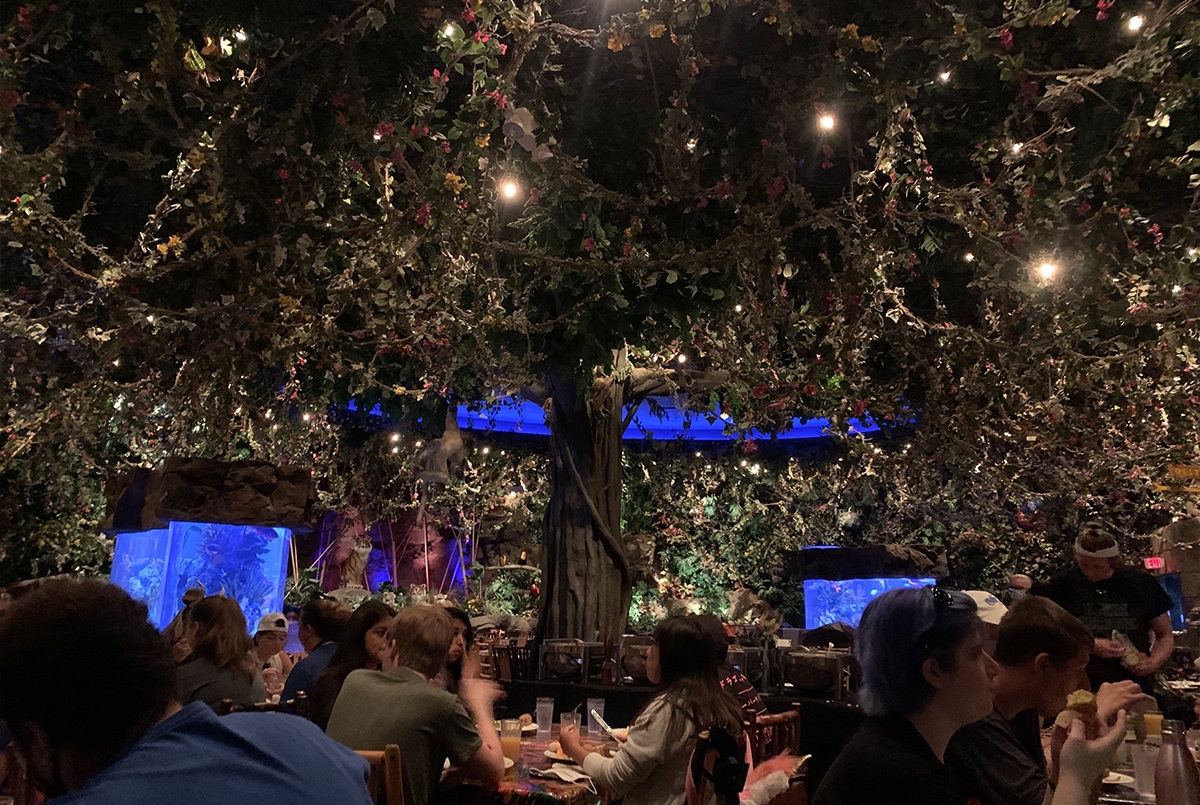 Rainforest Café is a great place for breakfast in a cool surrounding