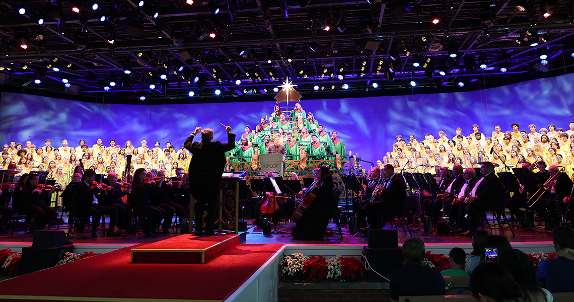 We Are Singing Music Festival Trips