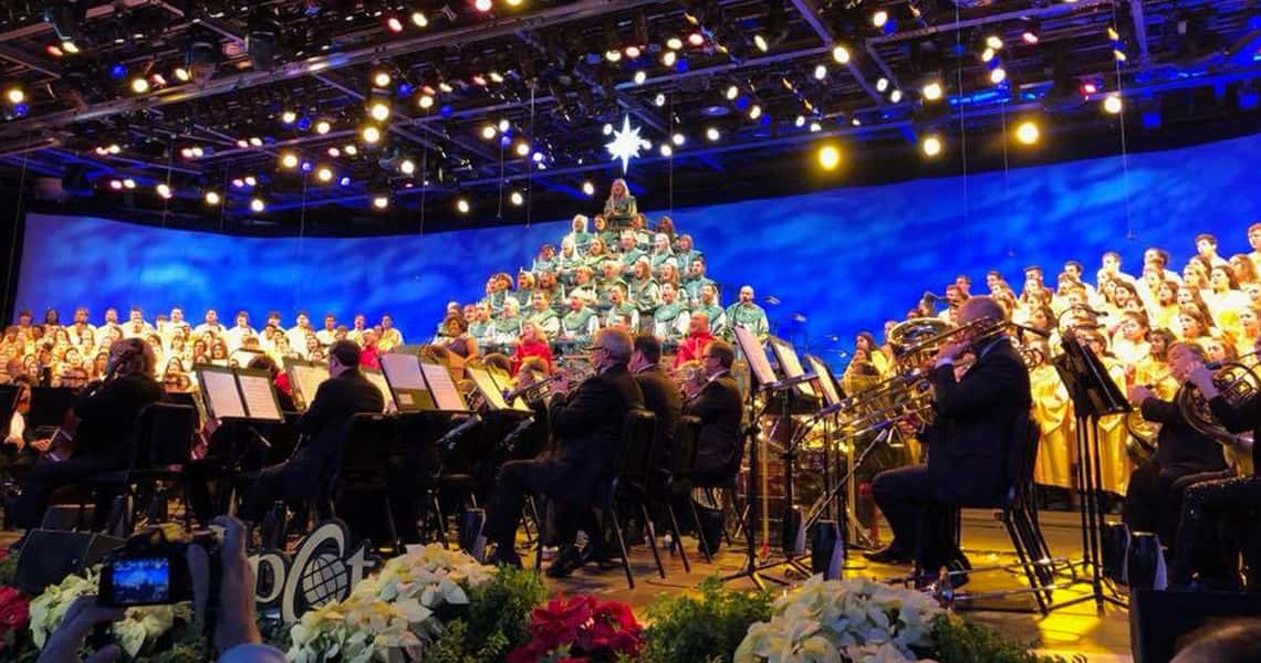 We Are Singing Music Festival Trips