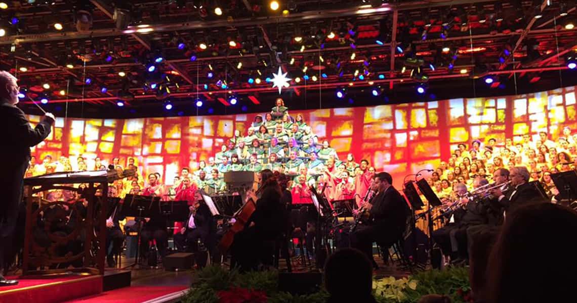 We Are Singing Music Festival Trips