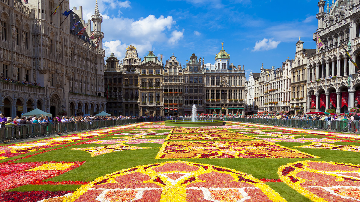 Belgium Performance Trips