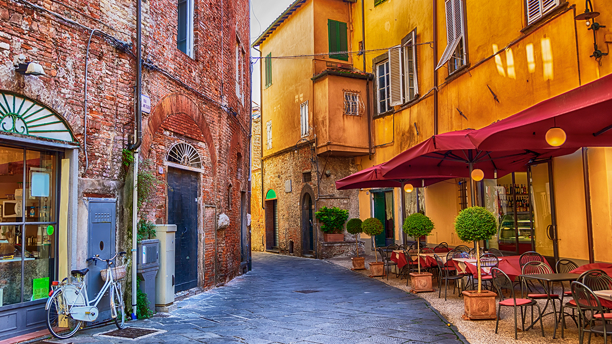 Lucca Performance Trips