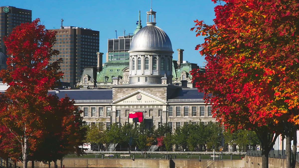 Montreal Performance Trips