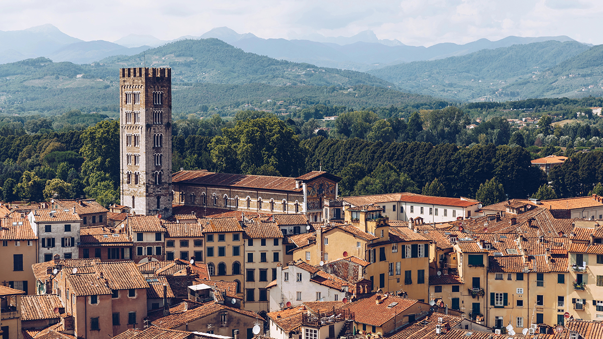 Pisa Performance Trips