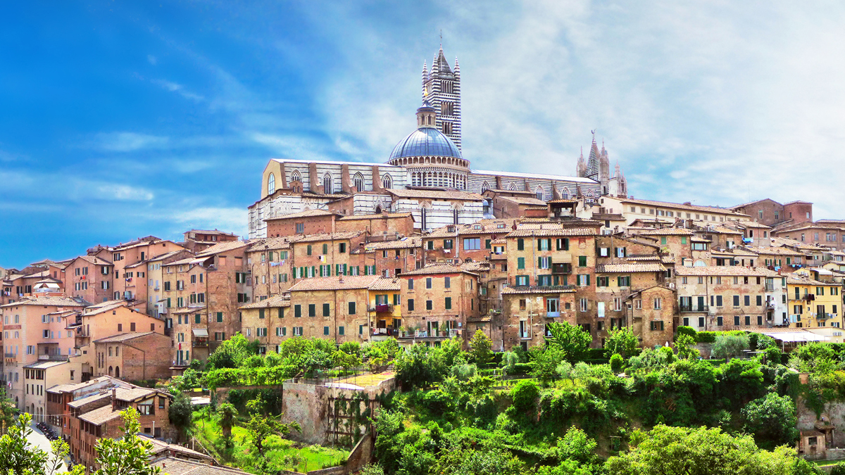 Siena Performance Trips