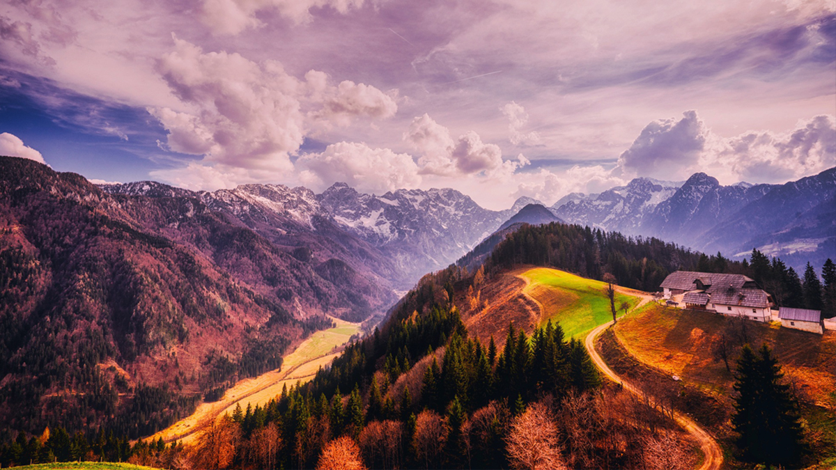 Slovenia Performance Trips