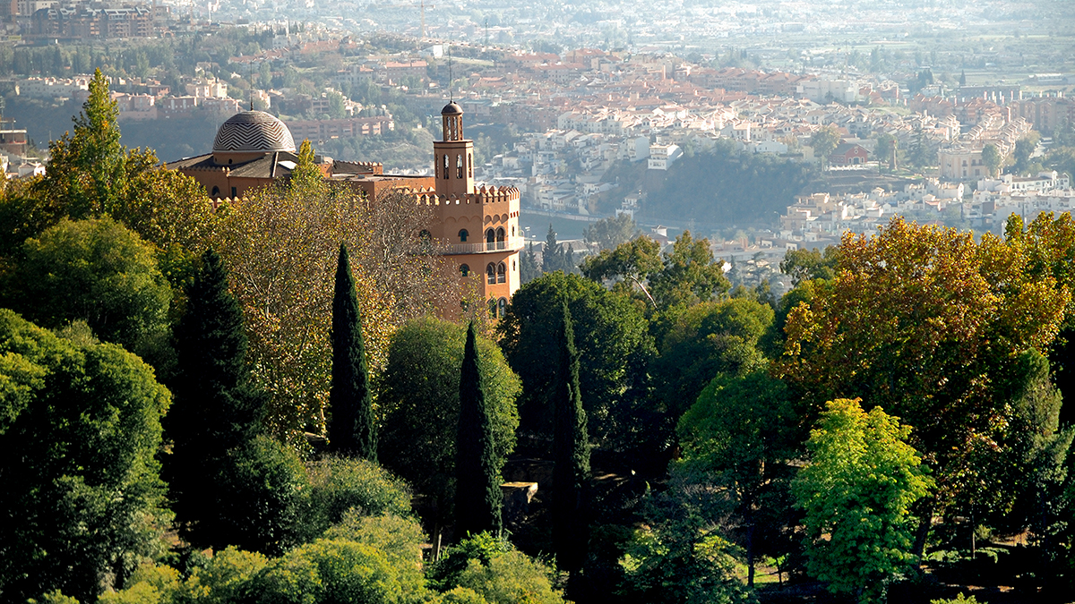 Spain Performance Trips