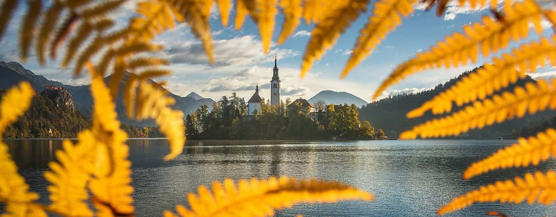 Slovenia Performance Trips