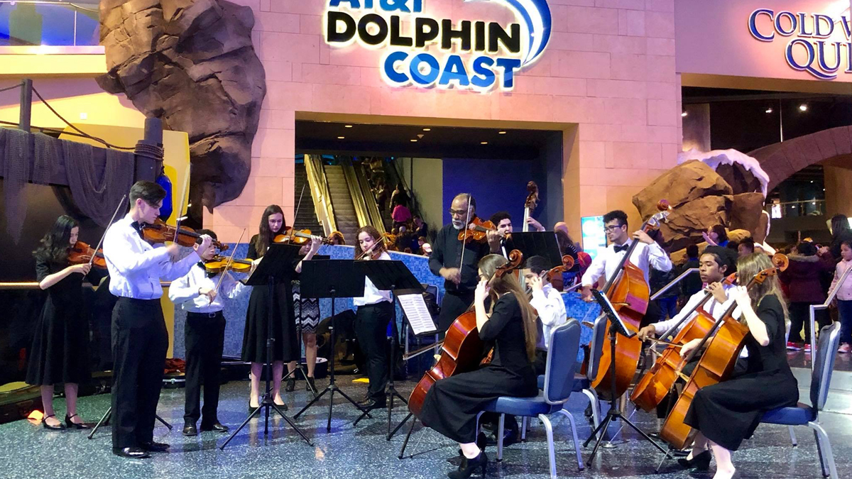 Student Orchestra Performance Opportunities to Georgia Aquarium