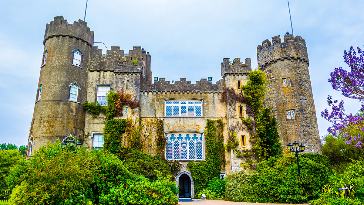 Student Orchestra Performance Opportunities to Malahide Castle Visitor Centre