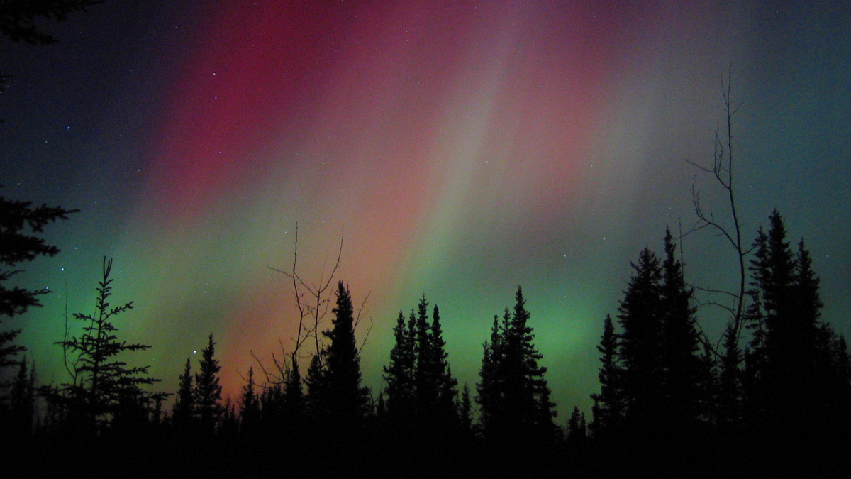 Alaska Performance Trips