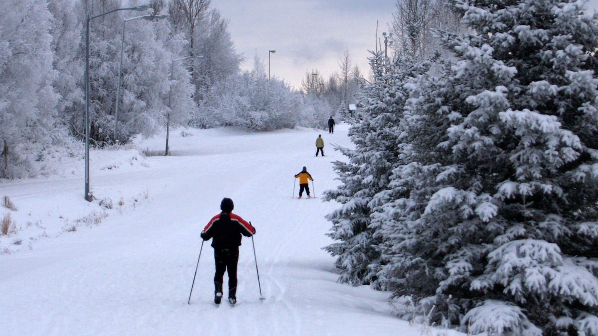 Alaska Performance Trips