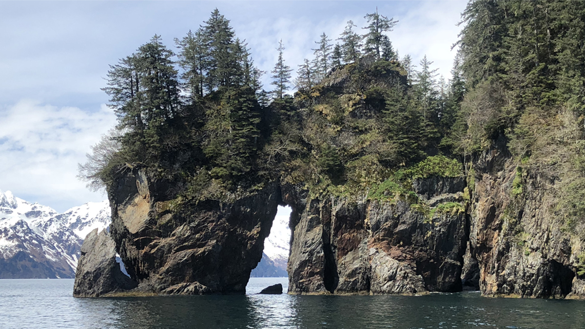 Alaska Performance Trips