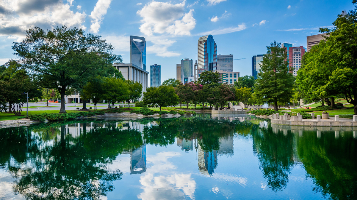 Dallas Performance Trips