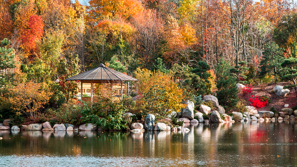 Grand Rapids Performance Trips