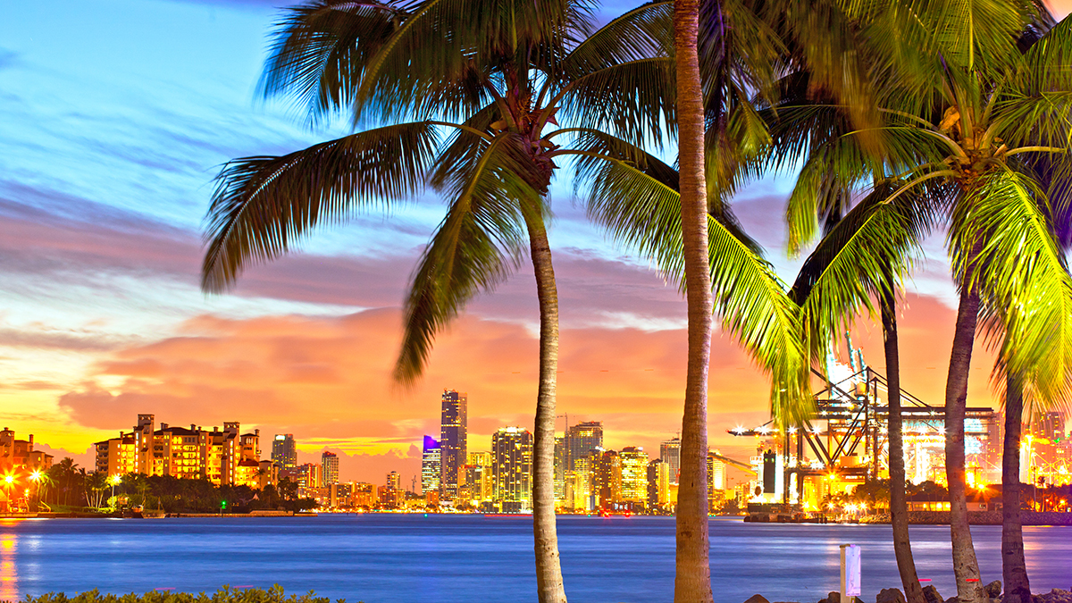 Miami Performance Trips