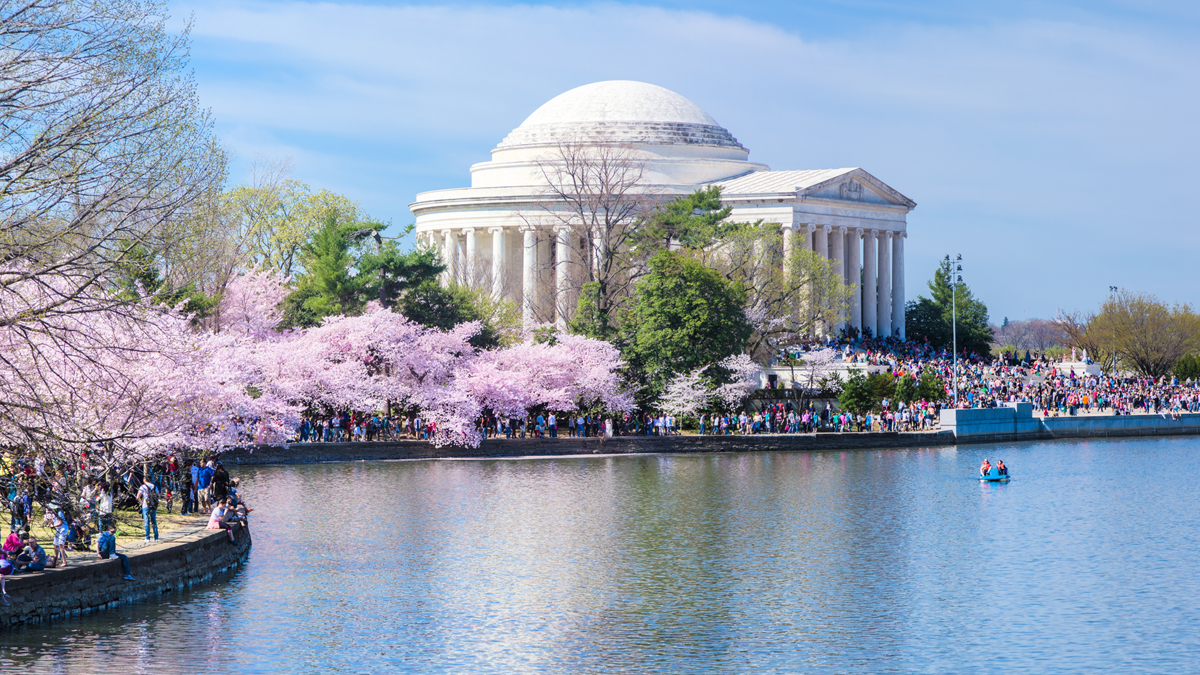 National Cherry Blossom Festival Parade for Band Students
