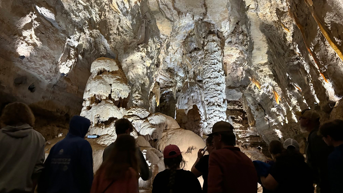 San Antonio Performance Trips