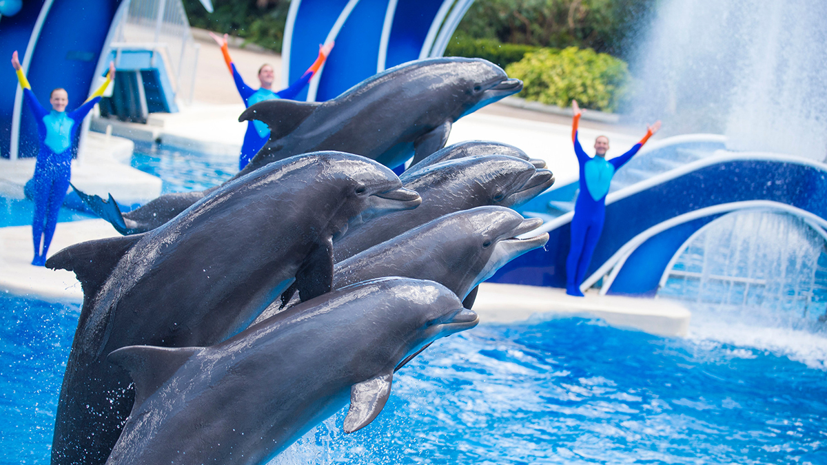 SeaWorld Music Performance Trips