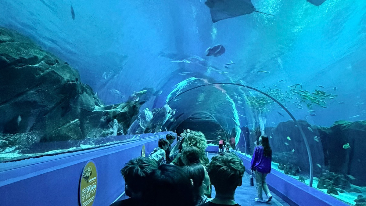 Atlanta Performance Trips