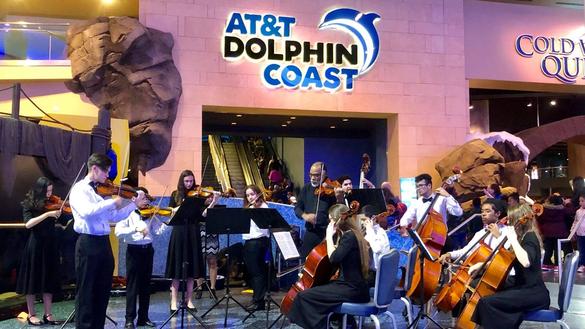 Atlanta Performance Trips