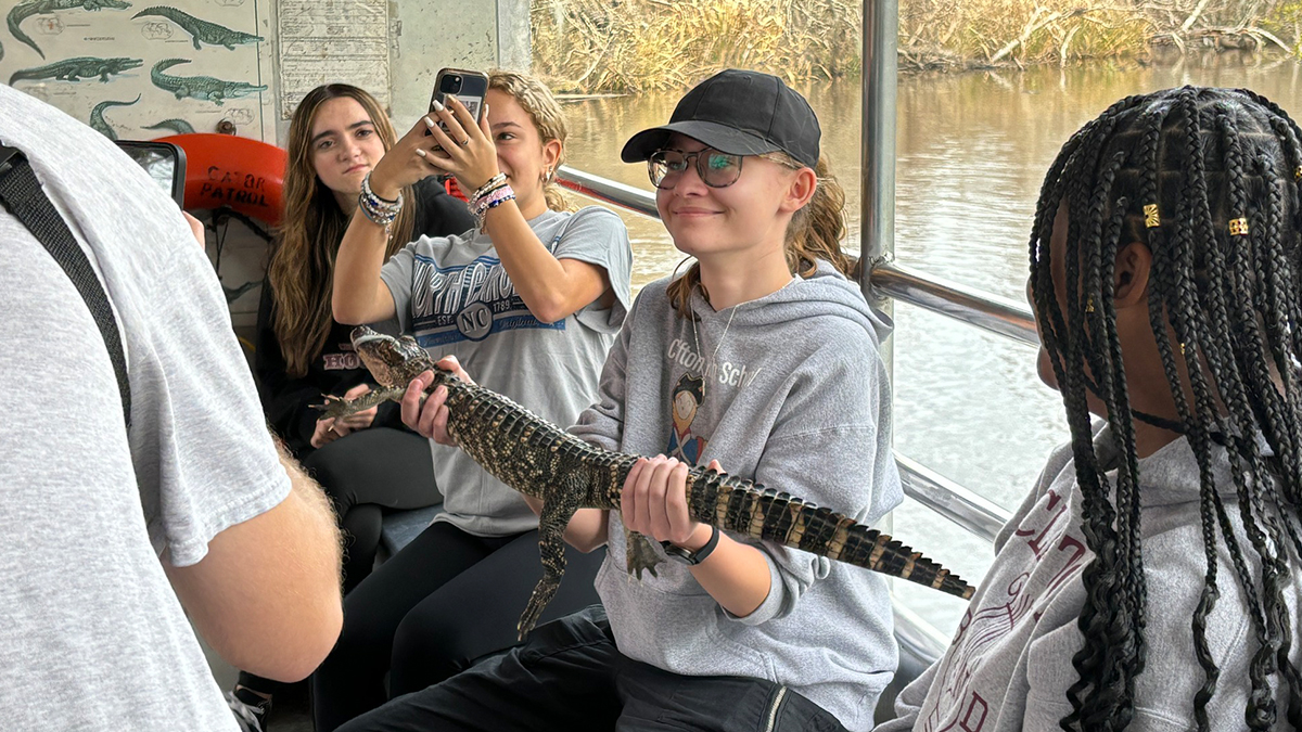 New Orleans Performance Travel