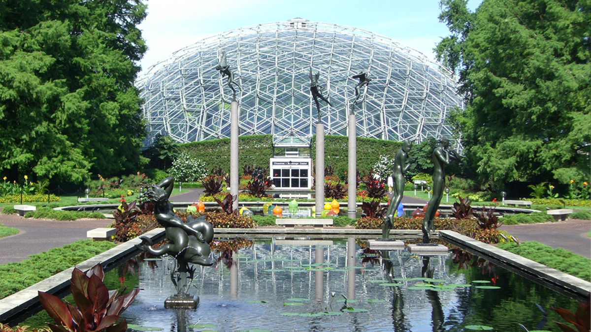 St. Louis Performance Trips